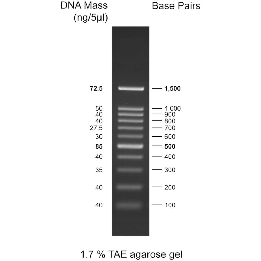 100bp DNA Ladder, 100-1500bp, 500uL